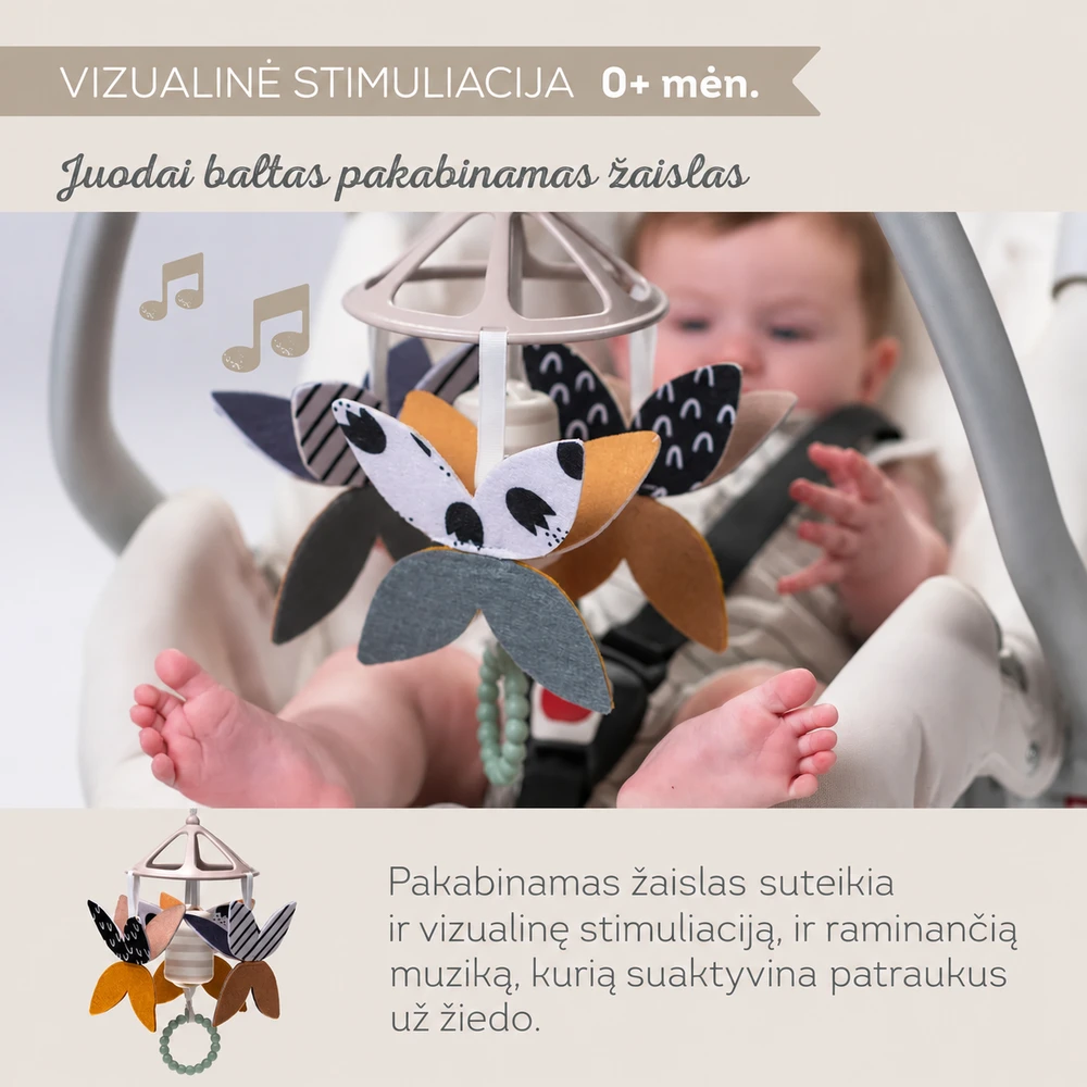 Taf Toys Juodas & Baltas Newborn Kit sensorinis rinkinys naujagimiui, 10 dalių