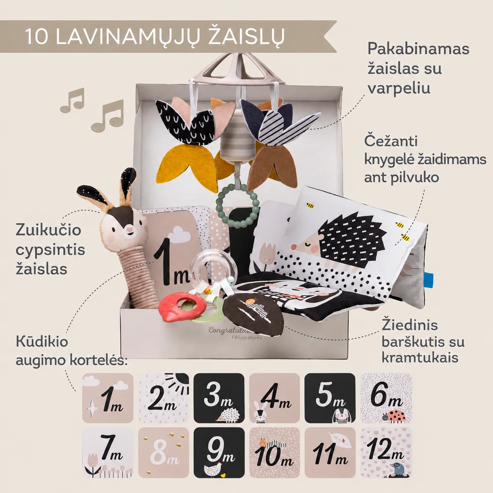 Taf Toys Juodas & Baltas Newborn Kit sensorinis rinkinys naujagimiui, 10 dalių