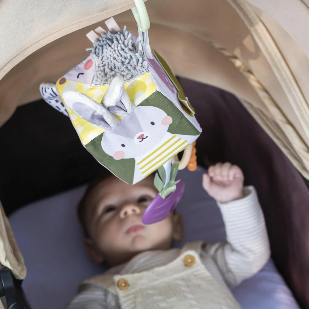 Taf Toys lavinamasis kubas kūdikiui Urban Garden, 0 mėn.+