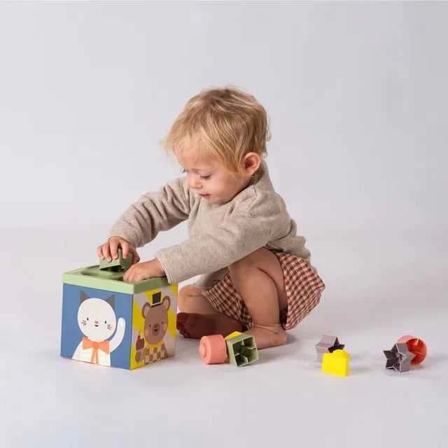Taf Toys lavinamasis kubas Žaisk ir atrask