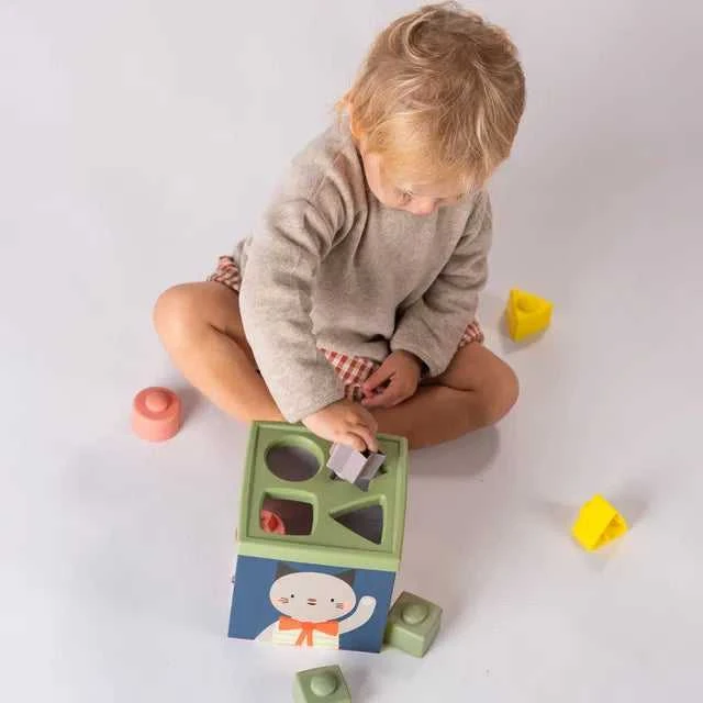 Taf Toys lavinamasis kubas Žaisk ir atrask