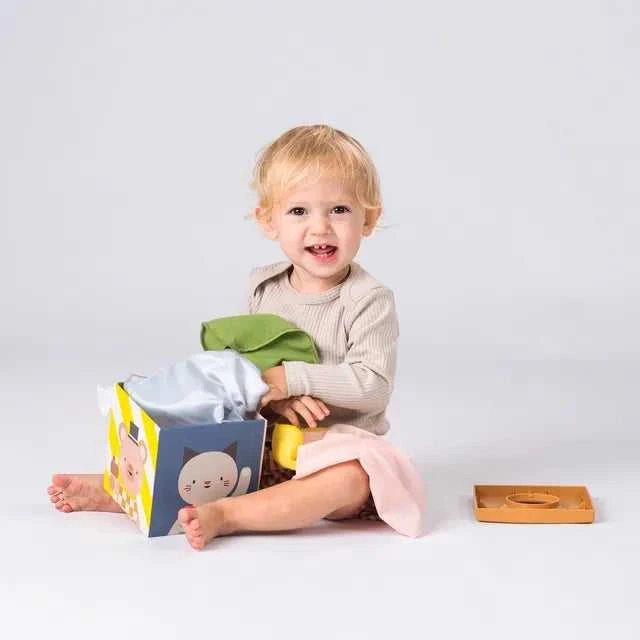 Taf Toys lavinamasis kubas Žaisk ir atrask