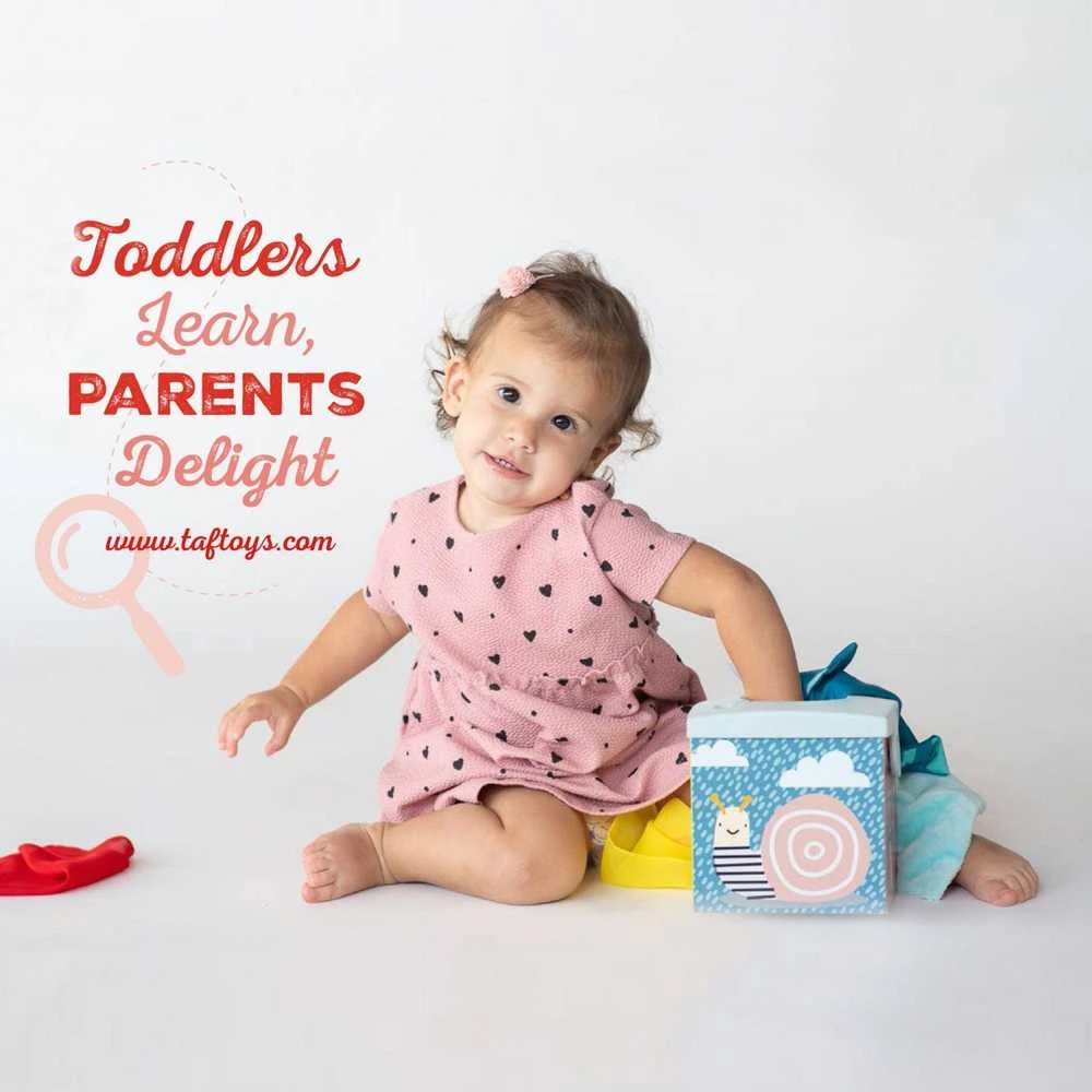 Taf Toys lavinamasis žaislas - jutiminė audinių dėžutė Kimmy Koala Wonder Tissue Box