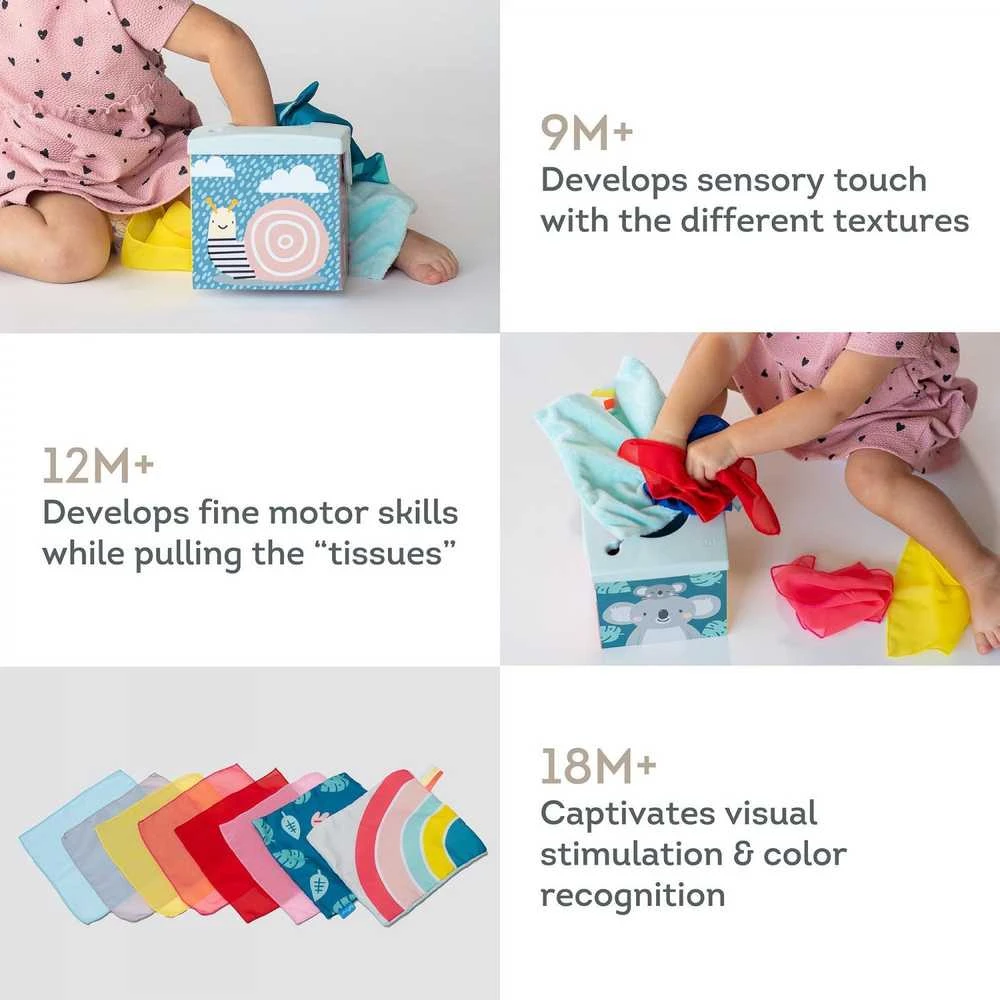 Taf Toys lavinamasis žaislas - jutiminė audinių dėžutė Kimmy Koala Wonder Tissue Box