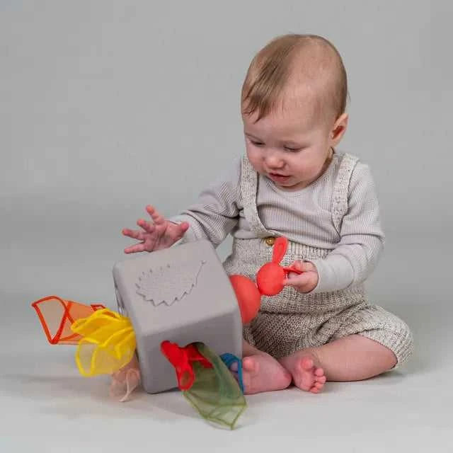 Taf Toys lavinamasis žaislas Pop Up Tissue Box