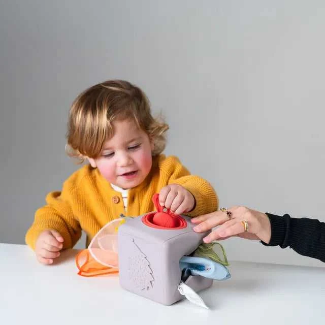 Taf Toys lavinamasis žaislas Pop Up Tissue Box