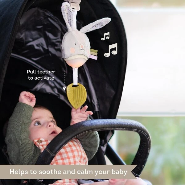 Taf Toys muzikinis žaislas vežimėliui Garden Stroller Bunny