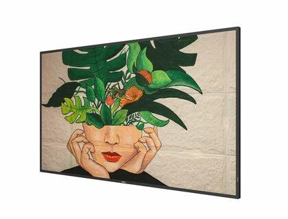 Monitorius Philips 55BDL4511D 55", Juodos spalvos