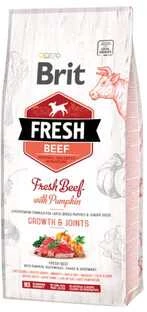 Brit Fresh Dog Jautiena su moliūgas Puppy Large 12kg