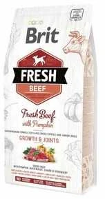 Brit Fresh Dog Jautiena su moliūgas Puppy Large 2,5kg