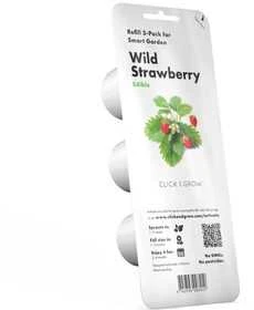 Click & Grow sėklos išmaniajam braškių vazonui  SHGR24x3 3vnt.