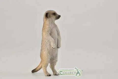 Collecta Figūrėlė - Surikata