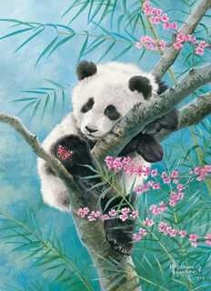 Castorland Dėlionė 70 vnt. - Panda ant bambuko