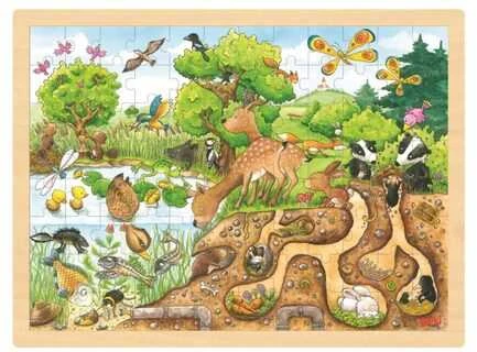 Goki Dėlionė 96 vnt. - Gamtos tyrinėjimas