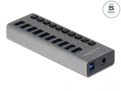 Delock 10 prievadų USB šakotuvas su jungikliais