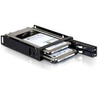 Delock 3,5" nuimamas rėmas 2 x 2,5 SATA HDD