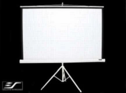 Elite Screens | su stovu Series | T99NWS1 | Įstrižainė 99" | 1:1 | Matomo vaizdo plotis (W) 178 cm | Baltas