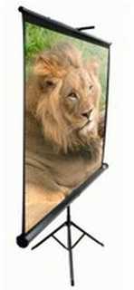 Elite Screens | su stovu Series | T120UWV1 | Įstrižainė 120" | 4:3 | Matomo vaizdo plotis (W) 244 cm | Juodas