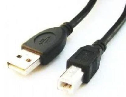 Laidas CABLE USB2 AM-BM 1.8M/CCP-USB2-AMBM-6 GEMBIRD