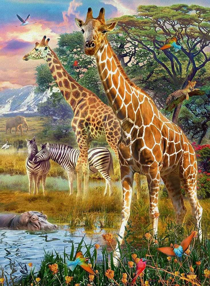 Ravensburger Dėlionė 150 vnt. - Žirafos