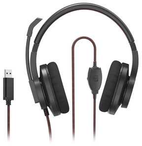 Hama Ausinės KOMPUTEROWE HS-USB400