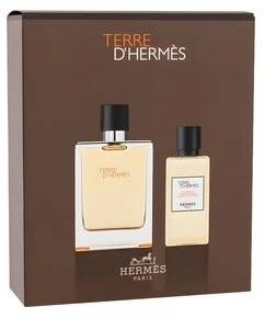 Hermès Terre D´Hermes tualetinio vandens purškiklis 100 ml, 2 vnt