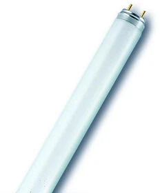 Osram 30W lempa LUMILUX T8, G13, 6500K, 908,8mm