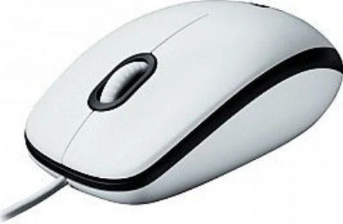 Pelė LOGITECH B100, USB, balta sp.