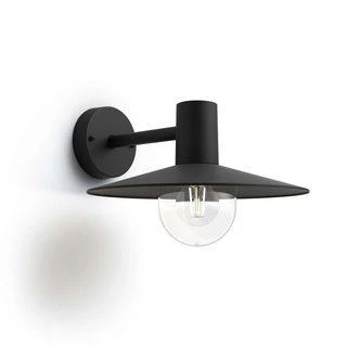 Sieninis šviestuvas Tvirtinamas šviestuvas Philips Skua 1X42W E27