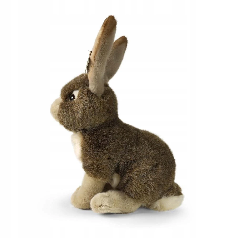 Rappa Eco-Friendly Pliušinis žaislas - kiškis, 30 cm