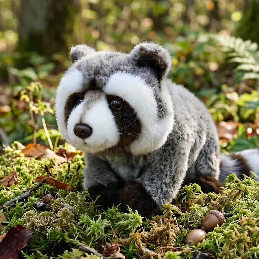 Rappa Eco-Friendly Pliušinis žaislas - meškėnas, 22 cm aprašymas - Prekės nuotrauka