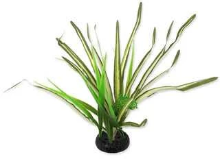 Dekors terārijam : Repti Planet Spartina grass, 30 cm
