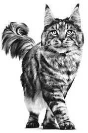 Royal Canin RC VD Cat Hypoallergenic 2,5kg ,sausas kačių pašaras