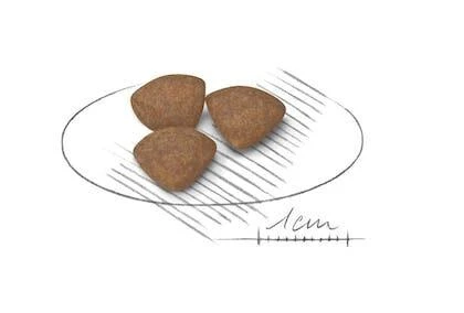 Royal Canin Mini Junior 800g