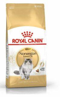 Royal Canin Norwegian Forest Cat 10kg