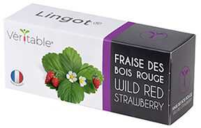 Veritable Lingot Laukinės raudonos braškės