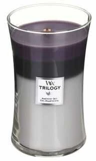 Woodwick WW TRILOGIJA DIDELIS STIKLAINIS AMETISTAS DANGUS