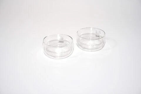 Zwilling - Sorrento deserto stiklinės 280 ml - 2 vnt. rinkinys