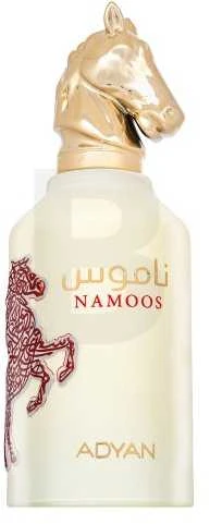 Adyan Namoos EDP parfumuotas vanduo unisex, 100 ml