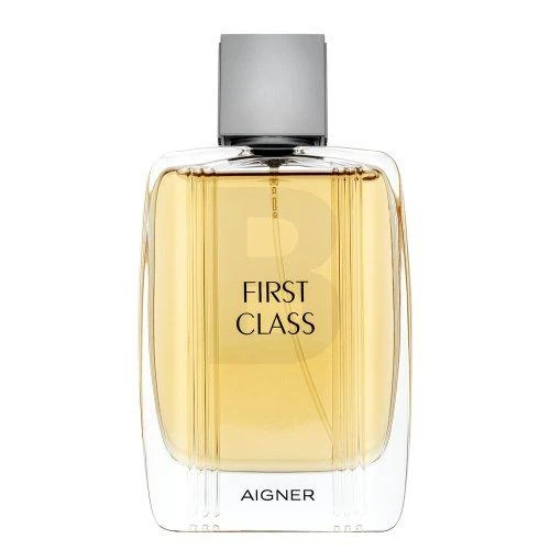 Etienne Aigner Aigner First Class EDT tualetinis vanduo vyrams, 100 ml