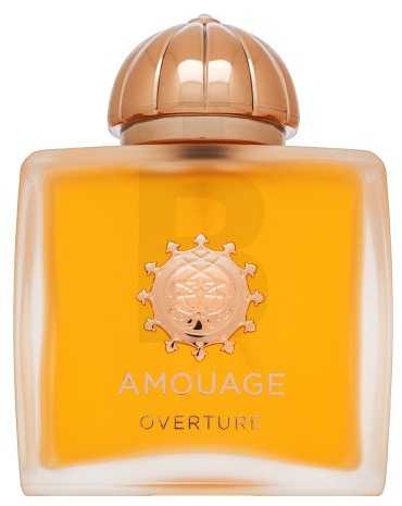 Amouage Overture EDP parfumuotas vanduo moterims, 100 ml