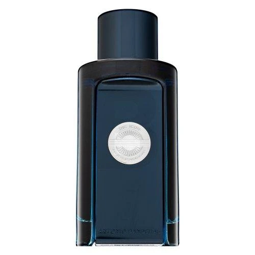 Antonio Banderas The Icon EDT tualetinis vanduo vyrams, 100 ml