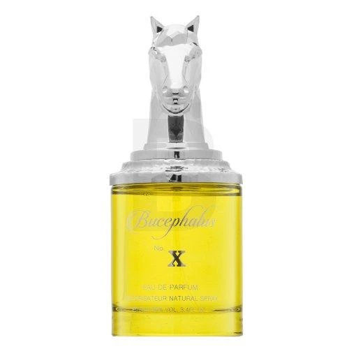 Kvepalai vyrams Armaf Niche Bucephalus No. X EDP, 100 ml