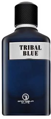 Grandeur Tribal Mėlyna EDP parfumuotas vanduo vyrams, 100 ml