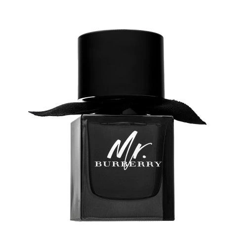 Mr Burberry EDP parfumuotas vanduo moterims, 50 ml