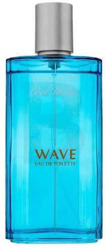 Kvepalai vyrams Davidoff Cool Water Wave EDT, 125 ml