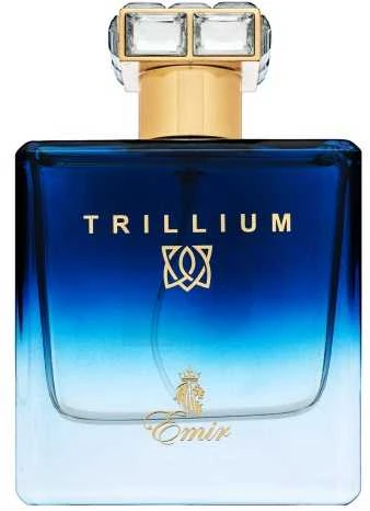 Emir Trillium EDP parfumuotas vanduo vyrams, 100 ml