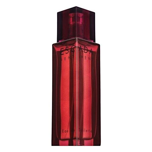 Escada Sentiment for Men (Kvepalai Vyrams) EDT 100ml