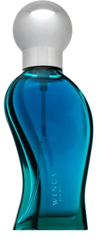 Giorgio Beverly Hills Vyrų kvepalai Giorgio EDT Wings 30 ml