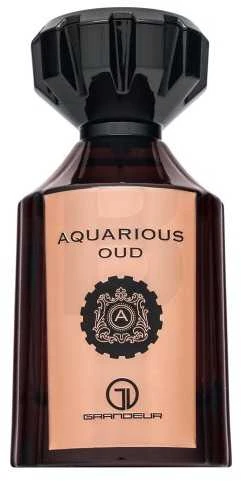 Grandeur Aquarious Oud EDP parfumuotas vanduo unisex, 100 ml